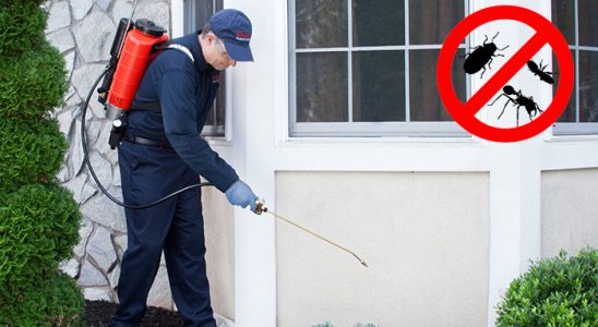 Kütahya Bit İlaçlama böcek ilaçlama ve haşere kontrolü — ilaclama-tr.com